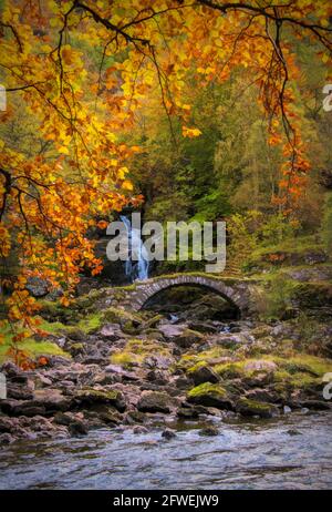 Il vecchio ponte a cavallo di cavallo (noto come il ponte Roam) e il fiume Lione, a Glen Lyon, in Scozia Foto Stock