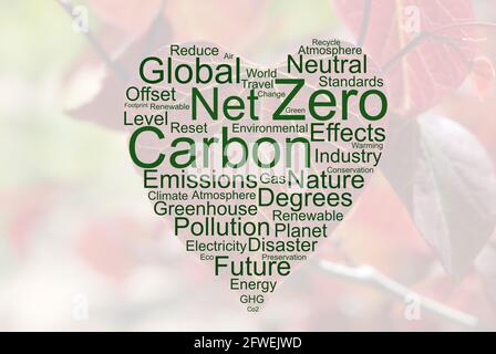 Nube di parole zero carbon su sfondo a forma di cuore Foglia di Cersis canadensis foresta pansy Foto Stock