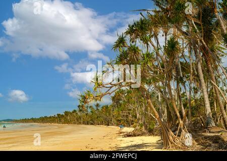 La Mission Beach, Queensland, Australia Foto Stock