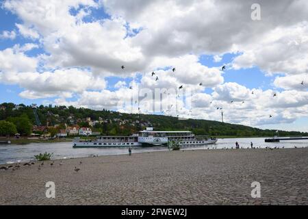 Dresda, Germania. 22 maggio 2021. Il vaporetto 'Dressen' del Sächsische Dampfschiffahrt parte dal molo di Blasewitz. Credit: Robert Michael/dpa-Zentralbild/dpa/Alamy Live News Foto Stock