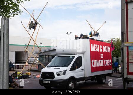 Hemel Hempstead, Regno Unito. 22.05.21 - gli attivisti per i diritti degli animali hanno bloccato tutti e 4 i centri di distribuzione McDonalds nel Regno Unito. Il McDonalds è un simbolo dell'agricoltura animale industriale che contribuisce alla crisi climatica e provoca sofferenze agli animali. Credit: Gareth Morris/Alamy Live News