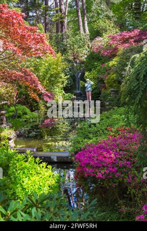 Compton Acres Gardens, Canford Cliffs, Poole, Dorset UK a maggio Foto Stock