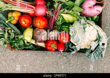 Vista dall'alto del contenitore di cartone con raccolta di vari freschi verdure ed erbe poste su terreno di asfalto Foto Stock