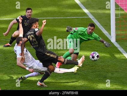 22 maggio 2021, Baviera, Monaco di Baviera: Calcio: Bundesliga, FC Bayern München - FC Augusta, giorno 34 all'Allianz Arena. Kingsley Coman di Monaco (fronte) e il portiere di Augusta Rafal Gikiewicz lottano per la palla. NOTA IMPORTANTE: In conformità con le norme del DFL Deutsche Fußball Liga e del DFB Deutscher Fußball-Bund, è vietato utilizzare o utilizzare fotografie scattate nello stadio e/o della partita sotto forma di sequenze di immagini e/o serie di foto simili a video. Foto: Sven Hoppe/dpa-piscina/dpa Foto Stock