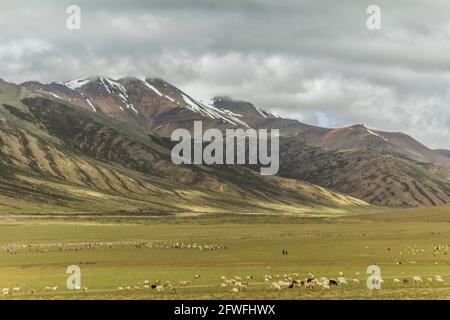 Varie vedute dell'autostrada Manali Leh Foto Stock