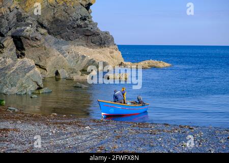 Cadgwith Cove South West Coast Path Lizard Point Cornwall Inghilterra Foto Stock