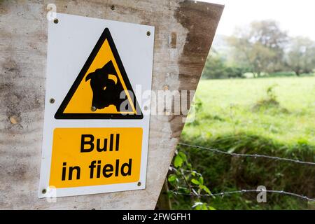 Cartello segnaletico Bull in Field, Galles, Regno Unito Foto Stock