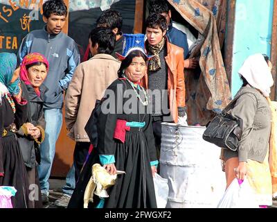 Nobra donna che vive in Ladakh Foto Stock