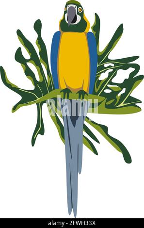 Tropicale mano disegnata colorata ara parrott con sfondo foglia. Pappagallo di Macaw. Illustrazione vettoriale isolata su sfondo bianco. Illustrazione Vettoriale