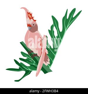 Pappagallo colorato disegnato a mano tropicale con piante e foglie. Pappagallo di plums rosa Cockatoo. Illustrazione vettoriale isolata su sfondo bianco. Illustrazione Vettoriale