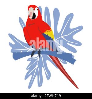 Tropicale mano disegnata colorata ara parrott con sfondo foglia. Pappagallo di Macaw. Illustrazione vettoriale isolata su sfondo bianco. Illustrazione Vettoriale