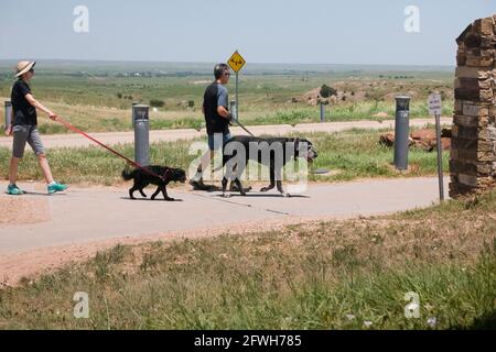 Coppia cani da passeggio al parco pubblico - Texas USA Foto Stock