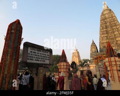 Il sito dell'albero di Ajapala Nigrodha (Banyan), uno dei 7 luoghi sacri nel complesso del tempio di Mahabodhi, Bodhgaya, India, novembre 2017 Foto Stock