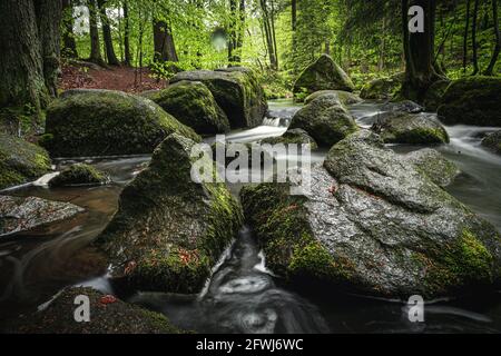 Naturschutzgebiet Höllbachtal im vorderen Bayerischen Wald Foto Stock