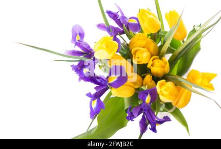 Tulipani gialli e iridi viola in un vaso su un sfondo beige Foto Stock