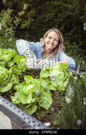 bella giovane donna bionda con camicia blu e guanti con il motivo del fiore prende la cura della lattuga nel letto rialzato dentro giardino ed è felice Foto Stock