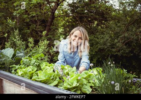 bella giovane donna bionda con camicia blu e guanti con il motivo del fiore prende la cura della lattuga nel letto rialzato dentro giardino ed è felice Foto Stock