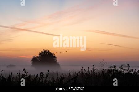 Primo mattino mistico, fresco paesaggio, alba prima dell'alba, una distesa di cielo con contrails e uccelli in volo sul fiume Chelmer a Chelmsford Foto Stock