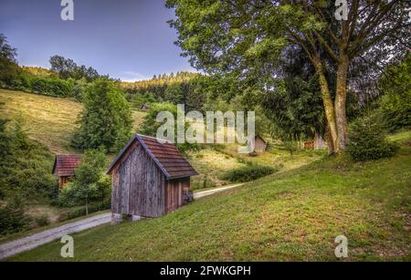 Una serie di piccole cabine in legno nella natura verde durante la luce del giorno Foto Stock