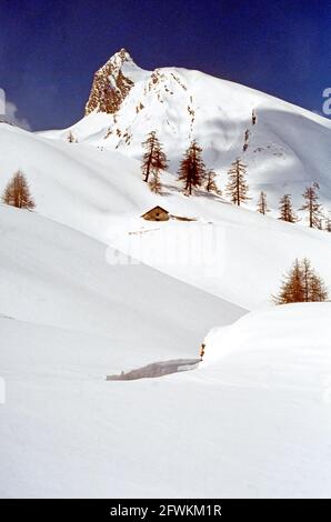 Salendo con gli sci verso il col Serena in Val D'Aosta Foto Stock