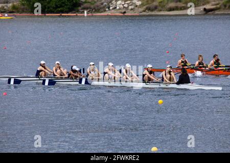 Otto squadre di canottaggio di giovani donne in stretta gara al lago Natoma, California Foto Stock