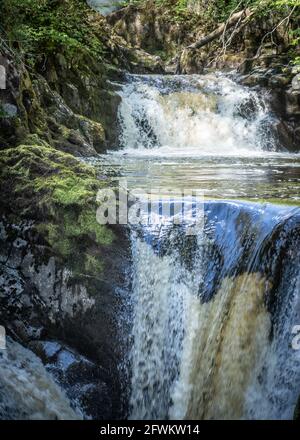 Ingleton WaterFalls Trail, Yorkshire Dales, Inghilterra, Regno Unito Foto Stock