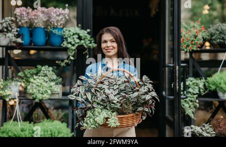 Lavoro di giardiniere e venditore in studio di fiori, negozio di pubblicità Foto Stock