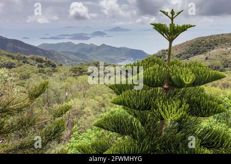 Flora e le isole vista di Lantau Island, Hong Kong, RPC Foto Stock