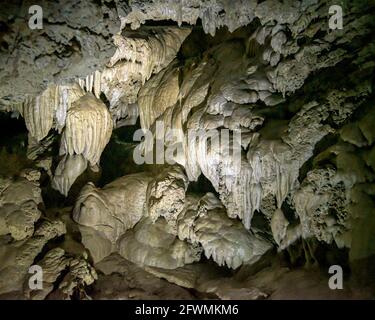 Camera Paradise Lost all'Oregon Caves National Monument, Oregon meridionale. Foto Stock