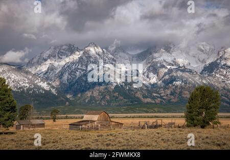 Il fienile di John Molton sulla Mormon Row nel Grand Teton National Park, Wyoming. Foto Stock