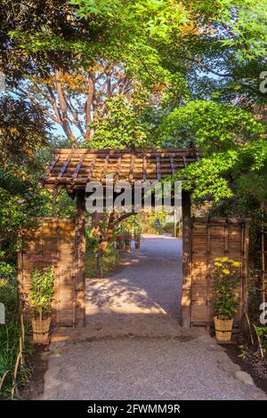 tokyo, giappone - novembre 13 2020: Tenda giapponese di bambù secco all'entrata dei Giardini Mukojima-Hyakkaen di higashi-mukojima trascurata Foto Stock