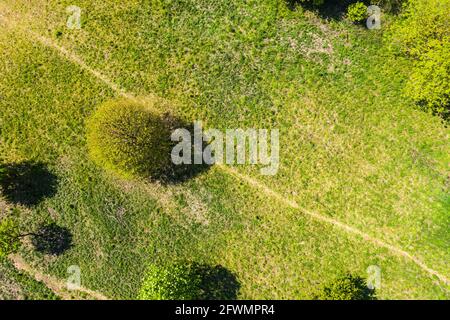 Vista dall'alto della strada sterrata e delle fitte foreste verdi. Bella bri Foto Stock