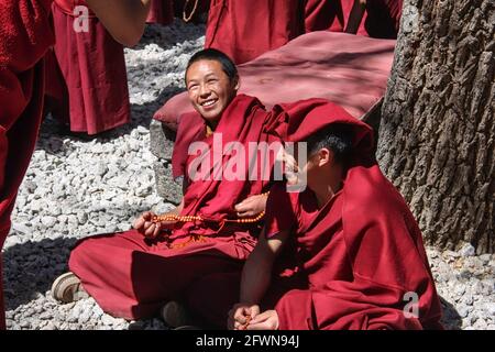 Monaci buddisti in formazione nel Tibet di Lhasa Foto Stock