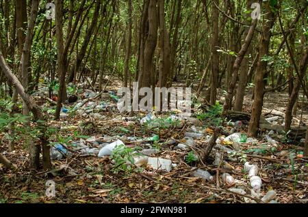 Massiccio inquinamento plastico nella palude di mangrovie di Panama City Foto Stock