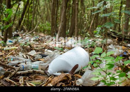 Massiccio inquinamento plastico nella palude di mangrovie di Panama City Foto Stock