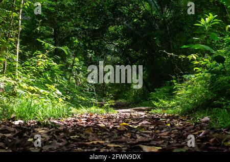 Percorso nel Parco Nazionale del Camino de Cruces Foto Stock