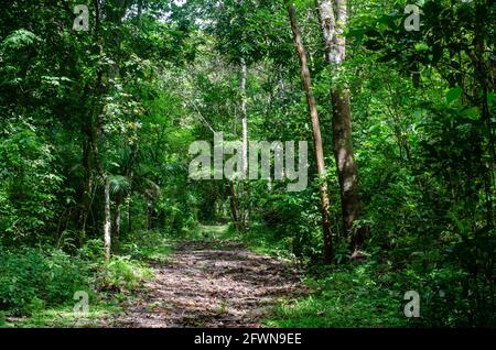 Percorso nel Parco Nazionale del Camino de Cruces Foto Stock