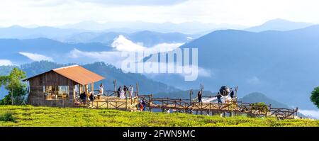 Il paesaggio mattutino nella valle delle nuvole attira i turisti a visitare, scattare foto per salutare il nuovo giorno nelle alture vicino a da Lat, Vietnam Foto Stock