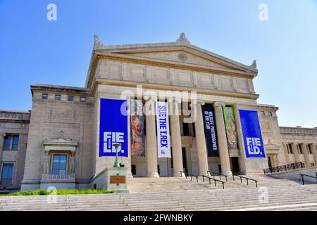 Chicago, Illinois, Stati Uniti d'America. Il campo Museo di Storia Naturale si trova a ovest di Chicago al Museum Campus appena a sud del loop. Foto Stock