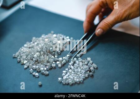 Smistamento manuale dei diamanti. Una mano con pinzette trasferisce i diamanti da un palo all'altro Foto Stock