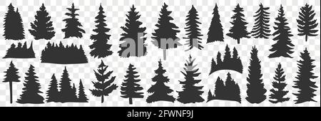 Silhouette di abete rosso e pino set doodle. Collezione di diverse sagome nere disegnate a mano di alberi di bosco pini in file isolate su sfondo trasparente Illustrazione Vettoriale