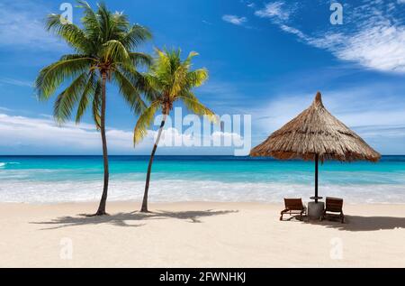 Spiaggia soleggiata palme da cocco, ombrello, mare tropicale nell'isola dei Caraibi. Foto Stock