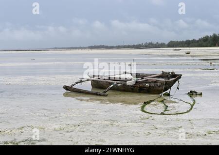 Vecchia barca da pesca in legno a bassa marea nell'oceano indiano, isola di Zanzibar Foto Stock