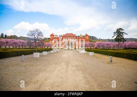 Troja Castello e ciliegi fioriti a Praga, repubblica Ceca, vista centrale Foto Stock