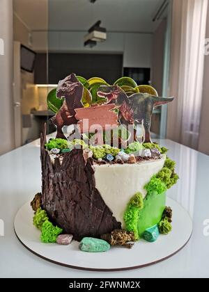 Dolce torta di compleanno con due dinosauri stilizzati sulla superficie  Foto stock - Alamy