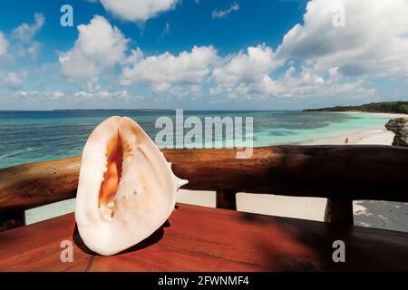 Conchiglia esposta in pensione sopra la spiaggia di sabbia bianca in questa località turistica nel lontano Sud; Tanjung Bira, Sulawesi del Sud, Indonesia Foto Stock