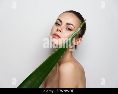 foglia di aloe verde sulla spalla della donna e primo piano ritratto Foto Stock