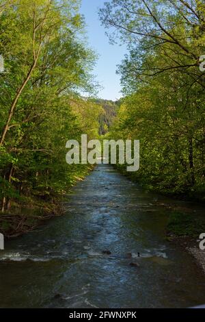 Un piccolo fiume alberato Beskydy con un bel cielo blu e alcune nuvole, è estate. Foto Stock