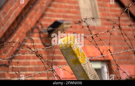 Dal settembre 2020, ex MOD Napier Barracks, Folkestone, sono state utilizzate dall'ufficio di casa per fornire alloggio temporaneo per i rifugiati maschi adulti che cercano asilo nel Regno Unito. Il campo è gestito da Clearspring Ready Homes. In precedenza, circa il 25% dei rifugiati nei campi ha dato risultati positivi per Covid-19, a causa di una grave mancanza di agevolazioni per le distanze sociali. Le caserme sono state dichiarate inadatte all'alloggio umano anche da ispettori indipendenti. L'alta recinzione intorno alle baracche di Napier è sormontata da filo spinato. Nella figura, filo spinato sulla recinzione. Foto Stock