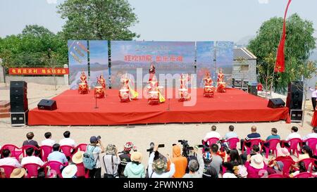 Zaozhuang, Zaozhuang, Cina. 24 maggio 2021. Il 23 maggio 2021 è stata inaugurata la prima festa di pesca del lago Yanma a Zaozhuang, nella provincia di Shandong. Questo evento ha attirato quasi 10,000 visitatori. L'evento ha anche attirato i turisti ad acquistare pesce fresco sul posto. Secondo le statistiche preliminari di quel giorno, l'asta del pesce capo da solo ha portato più di 40,000 yuan in reddito alla cooperativa. Più tardi, il vincitore del premio ''Fish King'' Ji Yanjun ha detto: ''sono molto entusiasta di poter fare un'offerta per un re del pesce di 90-jin, ma per restituire alla natura, ho messo il re del pesce d'offerta di nuovo al lago Yanma. La natura è un Foto Stock